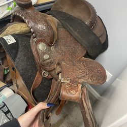 Saddles And Stand 