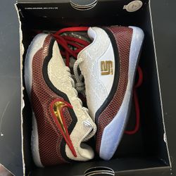 LeBron Basketball Shoes 
