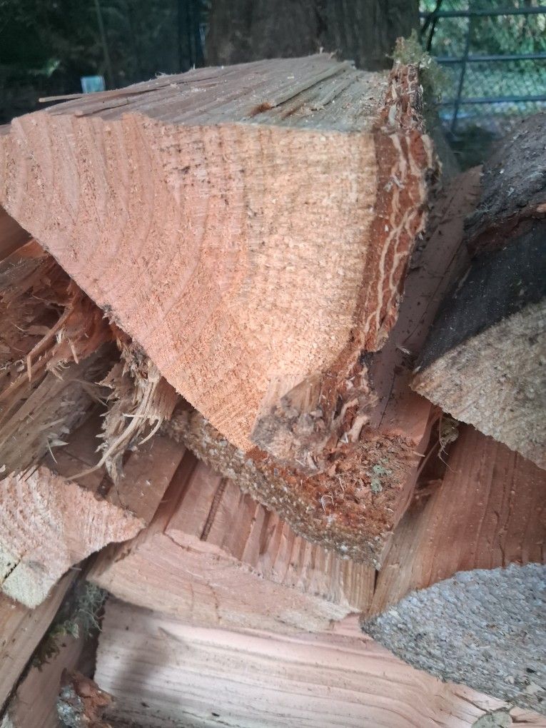 Fire Wood Ready To Burn.