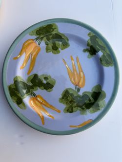 Droll Designs Ceramic Salad Plate 8.75” – Carrot Design Turquoise Rim – New