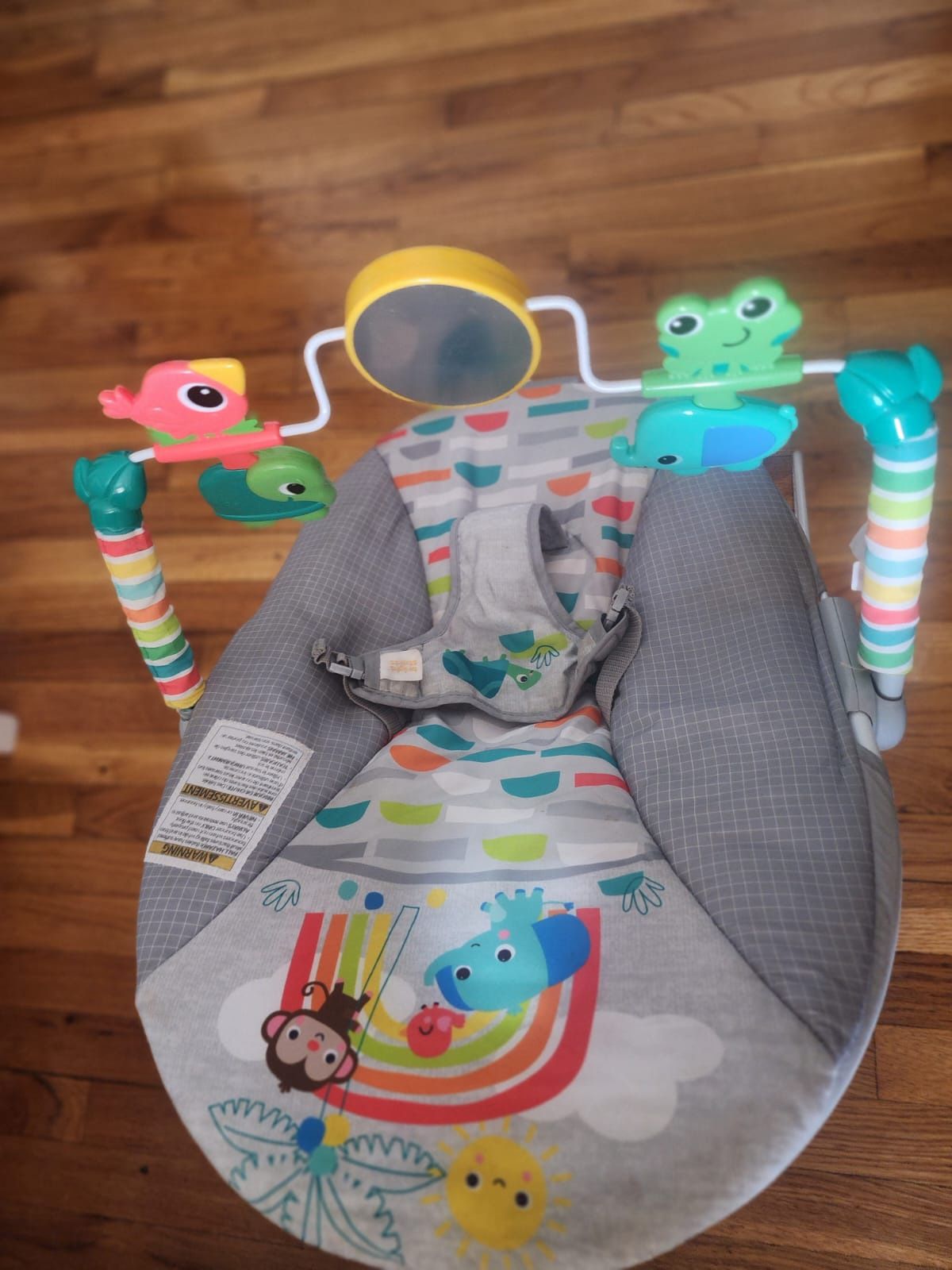 Baby Bouncer.