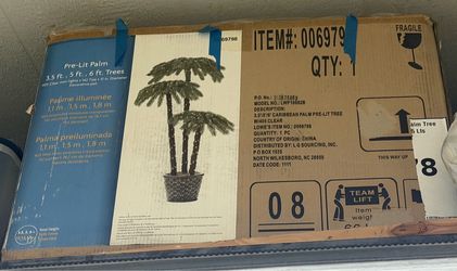 Lit palm trees