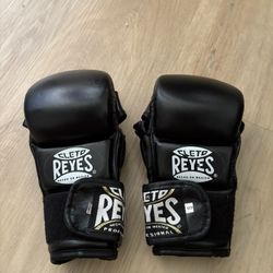Cleto Reyes MMA gloves 
