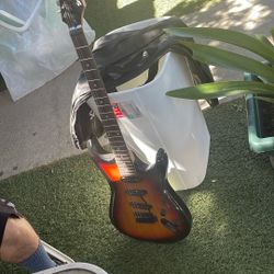 Electric Guitar