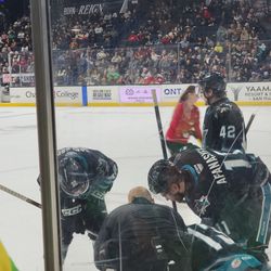 Reign Hockey Tickets