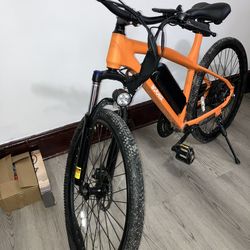 ACTBEST Electric Bicycle