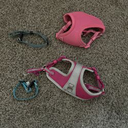 Small Dog Collars And Harnesses
