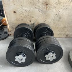pair of 45lb adjustable dumbbells with plates. 90lb in total  $90 