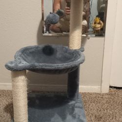 Cat Scratch\play House 