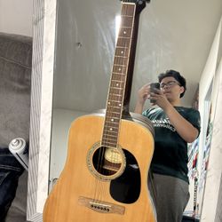 Mitchel Guitar 