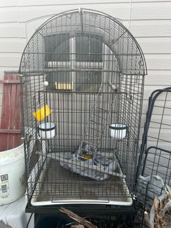 Bird cage