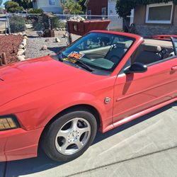 2004 Mustang