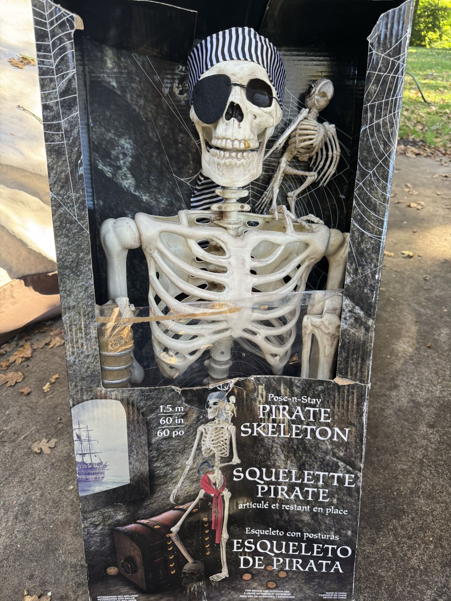 60 Inch Poseable Pirate Skeleton