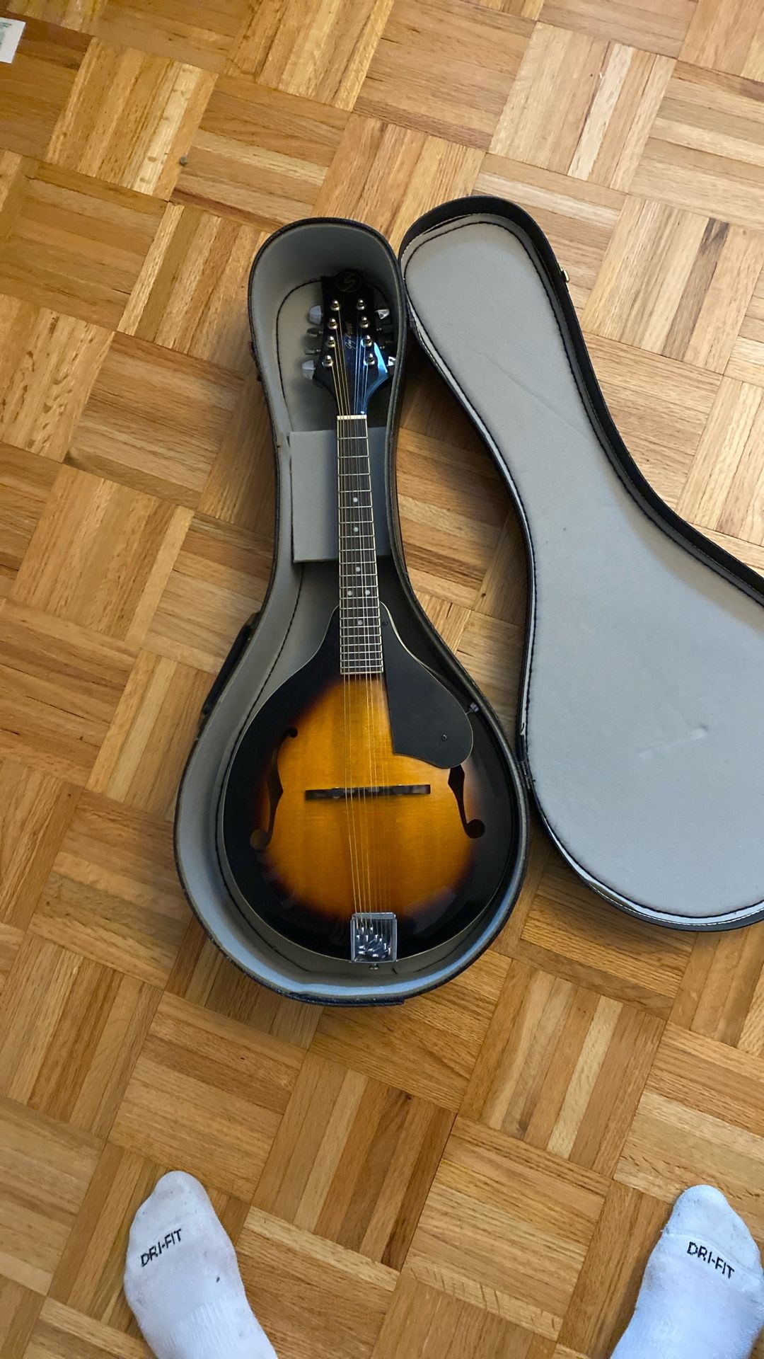 Greg Bennett Mandolin