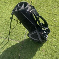 Cougar Adult Standing Light Weight Golf Bag In Great Cont 
