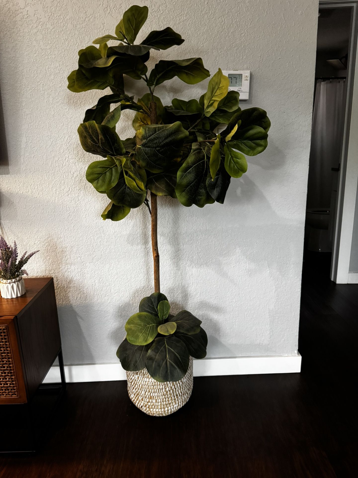 Plant
