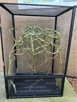 Chameleon cage XL