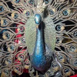 Majestic Peacock Wall Hanging