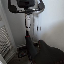Schwinn 170 Upright Bike
