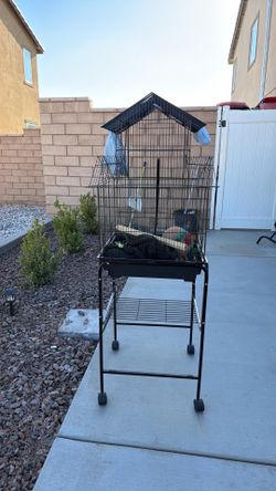 Bird cage with toys and cover