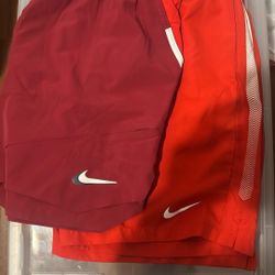 Two Nike Shorts 