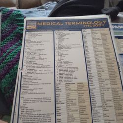 Medical Terminology The Body Quick Study Guide