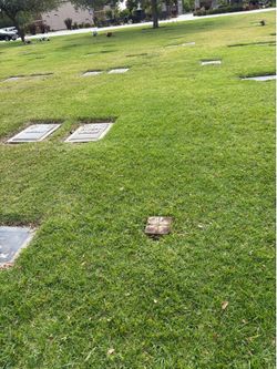 Cemetery plot