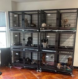 Dog kennels