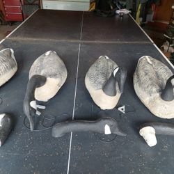 Decoy Unlimited Canadian Geese Decoys