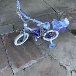 Frozen Toddler Bike 