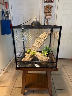 Reptile/Terrarium/Aquarium 60 gallon front opening tank ( no animals included ) ( have more Tanks Available) *** Like New ***
