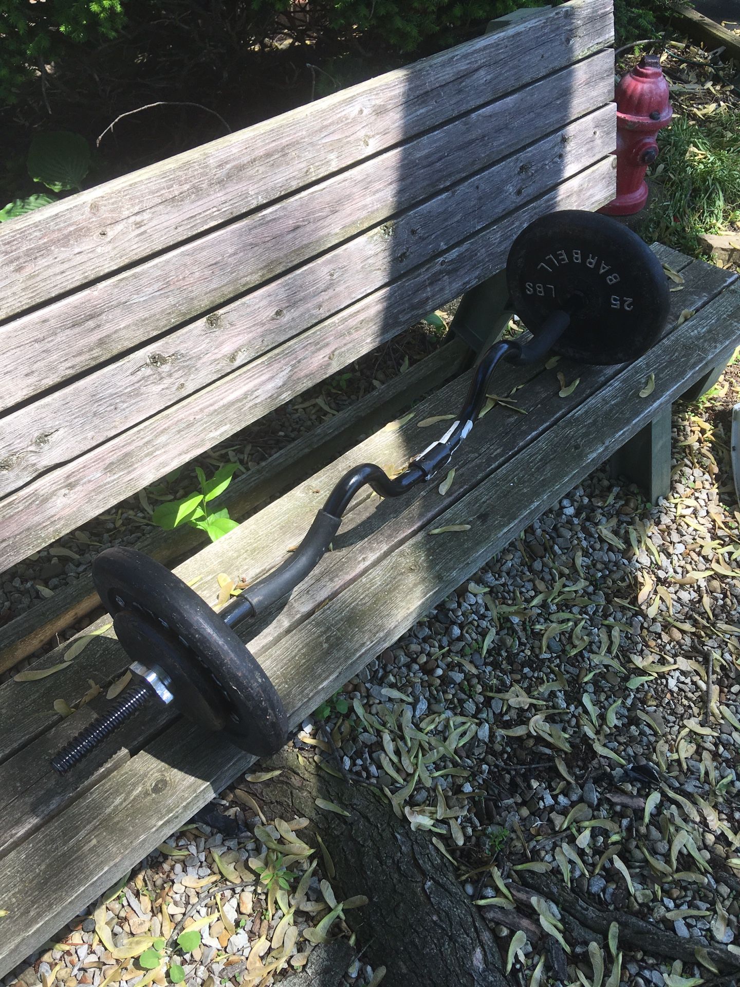 Curl bar with weights