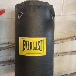 Everlast Punching Bag