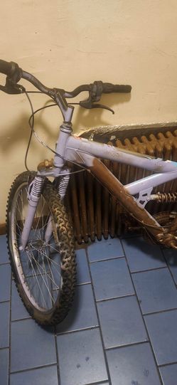 Mountain bike