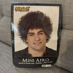 Mini Afro Wig