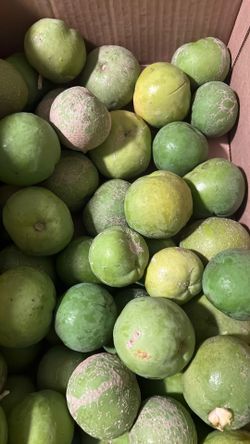 Sapotes! $2/lb.