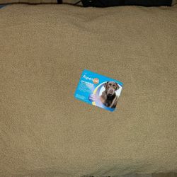 Dog BED