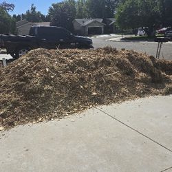 Free MULCH!!