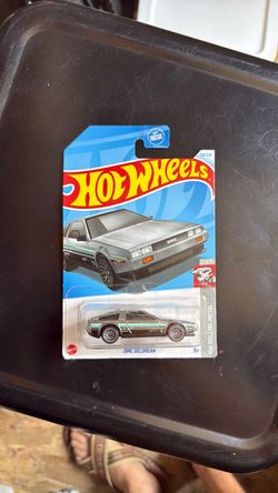 Treasure hunt DMC delorean