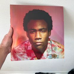 Childish Gambino Because The internet Vinyl