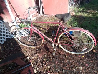Rare 1985 Schwinn World Tourist