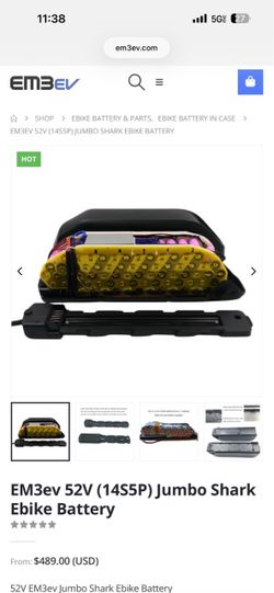 EM3ev Ebike Battery
