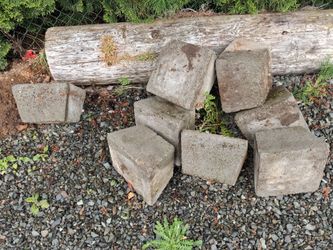 Free purer cement blocks and free door
