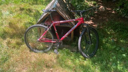 Adult size Redline bike-monocoque