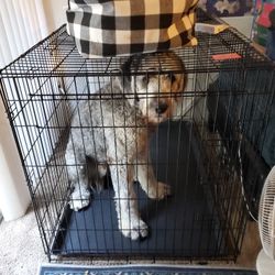 XL Top Paw Dog Cage 