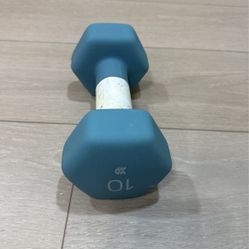 10lb Dumbell