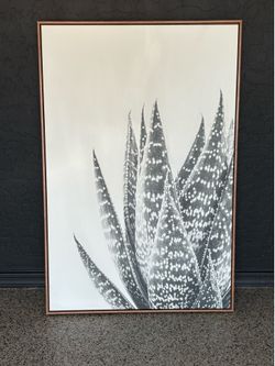 Wood framed, modern succulent canvas wall art.  24 x 36 inches