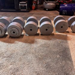 Large Dumbbells For Sale 