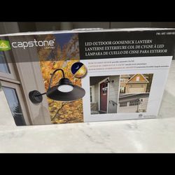 Capstone Outdoor Lights (5, Brand New)