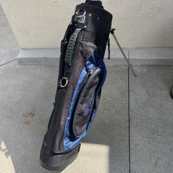 Wilson Golf Bag